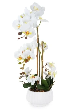 Henriette - 2-Branch Orchid Plant with Pot - Real Touch White Flowers