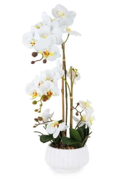 Henriette - Pianta Orchidea 2 Rami con Vaso - Real Touch Flowers Bianco