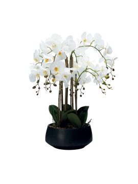 Henriette - 8-Branch Orchid Plant with Pot - Real Touch Flowers Black