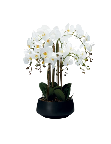 Henriette - 8-Branch Orchid Plant with Pot - Real Touch Flowers Black