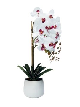 Henriette - 3-Branch Orchid Plant with Pot - Real Touch Flowers White