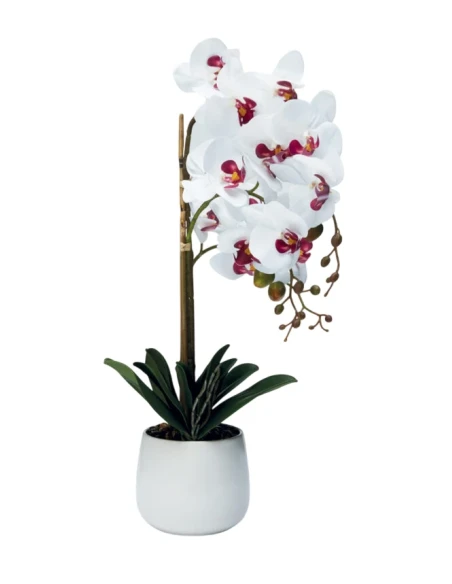 Henriette - 3-Branch Orchid Plant with Pot - Real Touch Flowers White