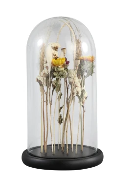 PTMD - Campana in Vetro con Fiori Essiccati - A