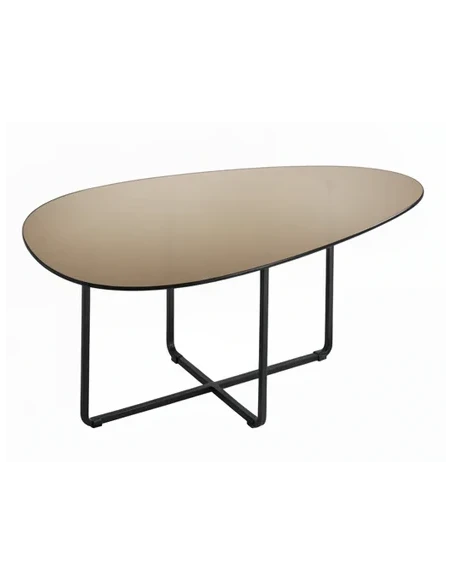 Capodarte - Ginni Shaped Coffee Table - Black / Bronze