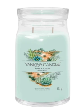 Yankee Candle - Aloe & Agave - Candela in Giara Grande