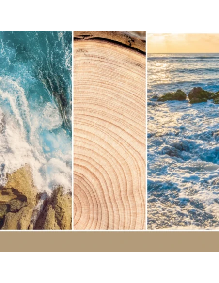 Yankee Candle - Amber & Sandalwood - Candela Votiva in Vetro