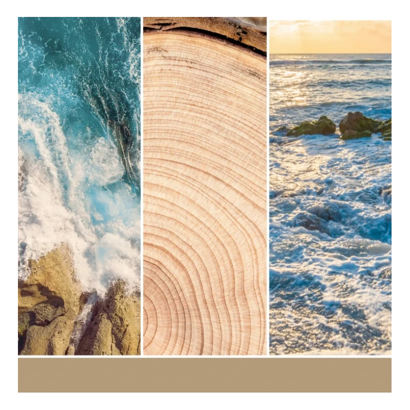 Yankee Candle - Amber & Sandalwood - Cera da Fondere