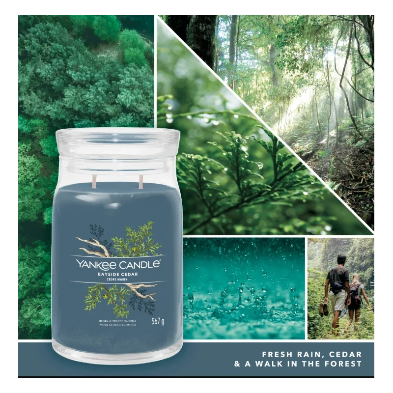 Yankee Candle - Bayside Cedar - Candela in Giara Grande