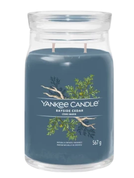 Yankee Candle - Bayside Cedar - Candela in Giara Grande