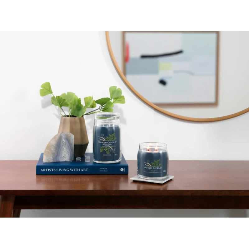 Yankee Candle - Bayside Cedar - Candela in Giara Media