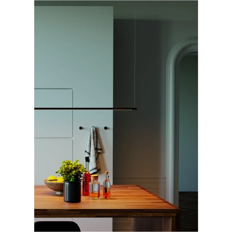 Redo Group - Acrobat Floor / Suspension Lamp - Matt Black