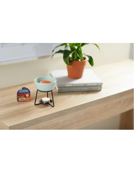 Yankee Candle - Cinnamon Stick Candela Cera da Fondere