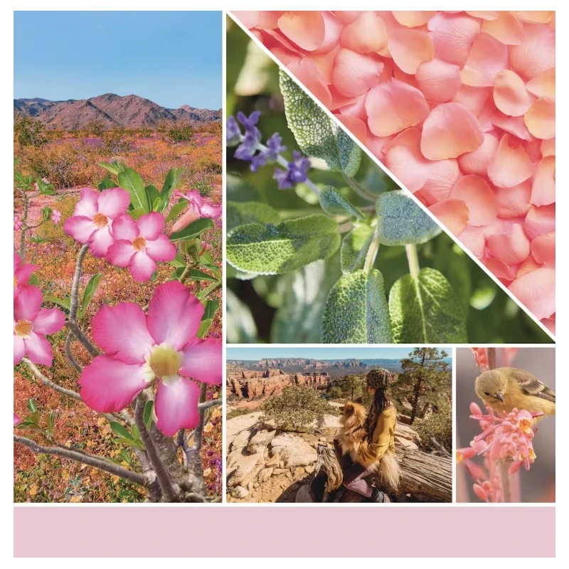 Yankee Candle - Desert Blooms Melting Wax