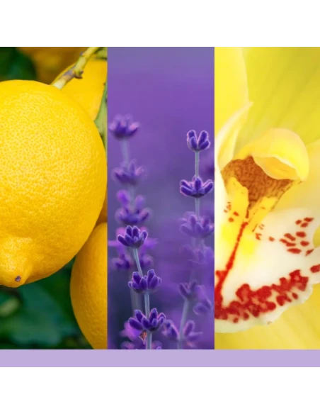 Yankee Candle - Lemon Lavender Candela in Giara Media