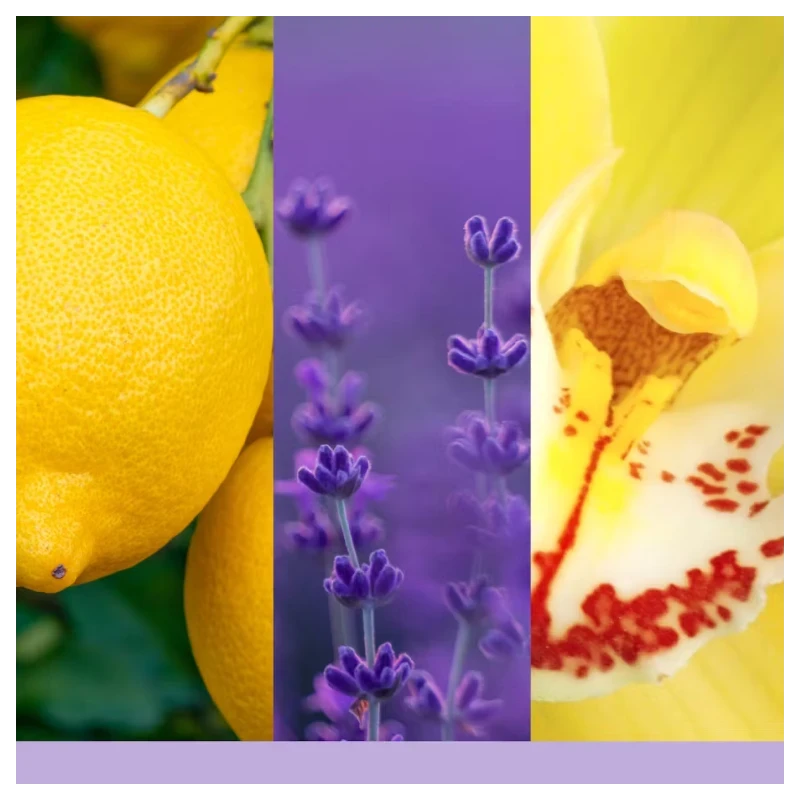 Yankee Candle - Lemon Lavender Glass Votive Candle