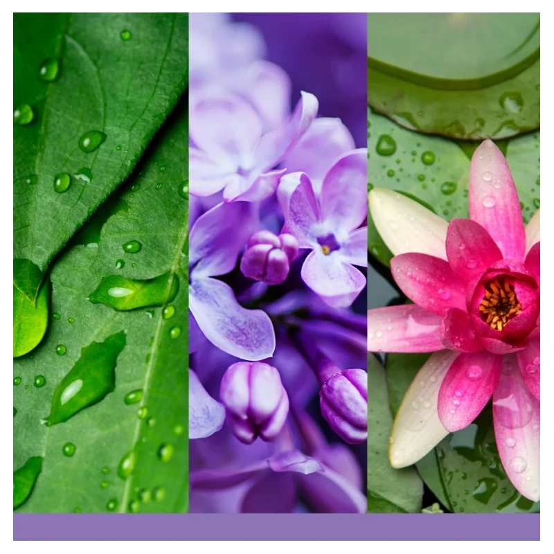 Yankee Candle - Lilac Blossoms Medium Jar