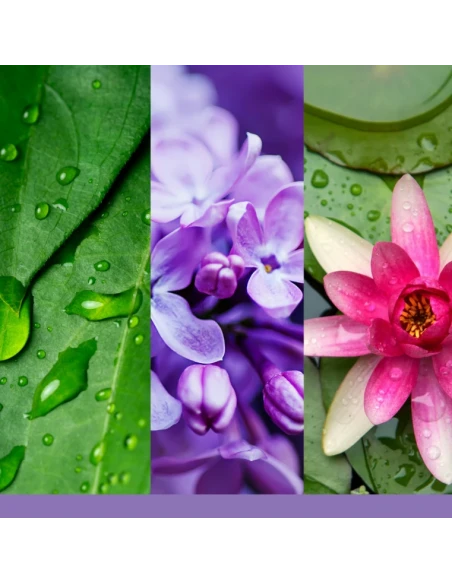 Yankee Candle - Lilac Blossoms Cera da Fondere