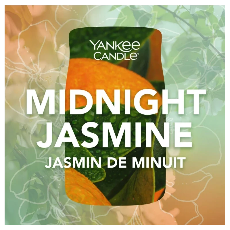 Yankee Candle - Midnight Jasmine Medium Jar