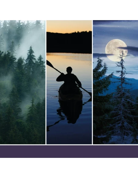 Yankee Candle - Midsummer's Night® - Candela in Giara Media