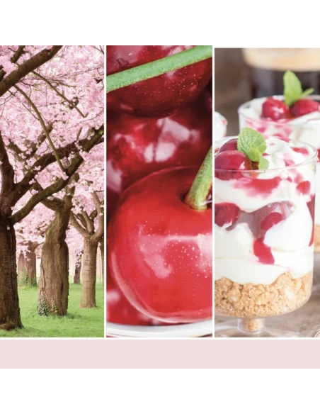 Yankee Candle - Pink Cherry & Vanilla Candela in Giara Media