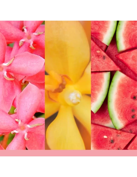 Yankee Candle - Pink Sands - Candela in Giara Media