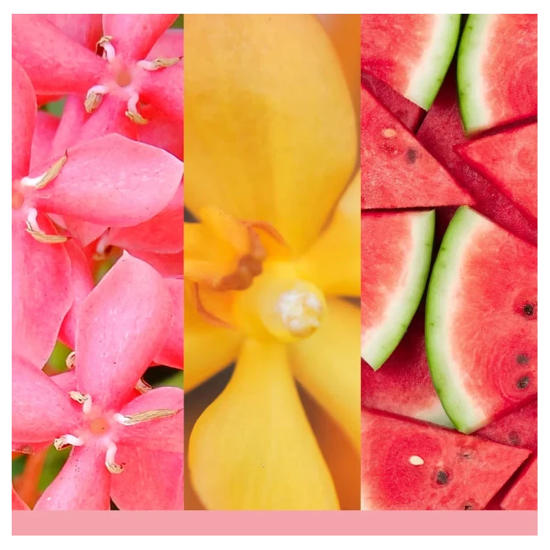 Yankee Candle - Pink Sands - Cera da Fondere