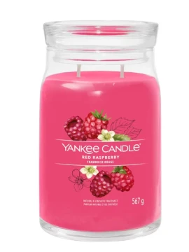 Yankee Candle - Red Raspberry Candela in Giara Grande