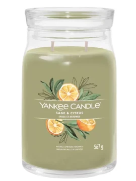 Yankee Candle - Sage & Citrus Large Jar Candle