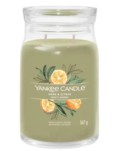 Yankee Candle - Sage & Citrus  Candela in Giara Grande