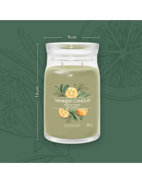 Yankee Candle - Sage & Citrus  Candela in Giara Grande