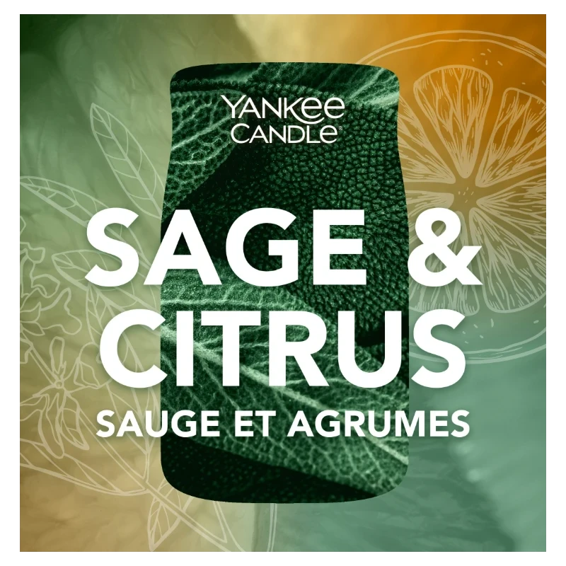 Yankee Candle - Sage & Citrus  Candela in Giara Grande