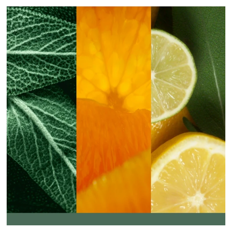 Yankee Candle - Sage & Citrus  Candela in Giara Media