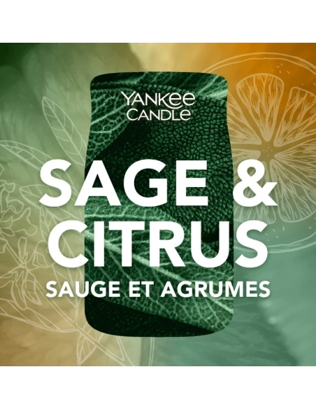 Yankee Candle - Sage & Citrus Medium Jar Candle