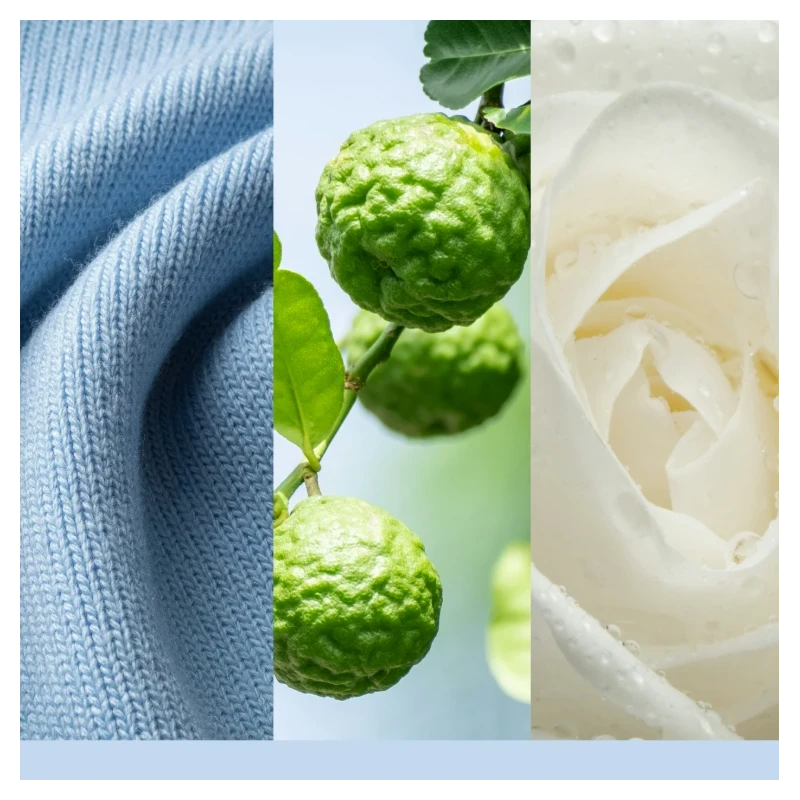 Yankee Candle - Soft Blanket - Cera da Fondere