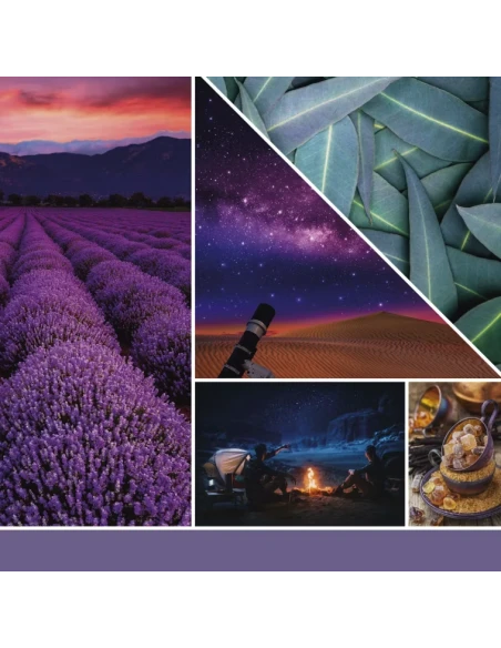 Yankee Candle - Stargazing Candela in Giara Media