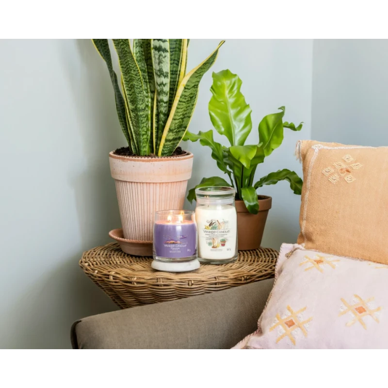 Yankee Candle - Stargazing Candela in Giara Media