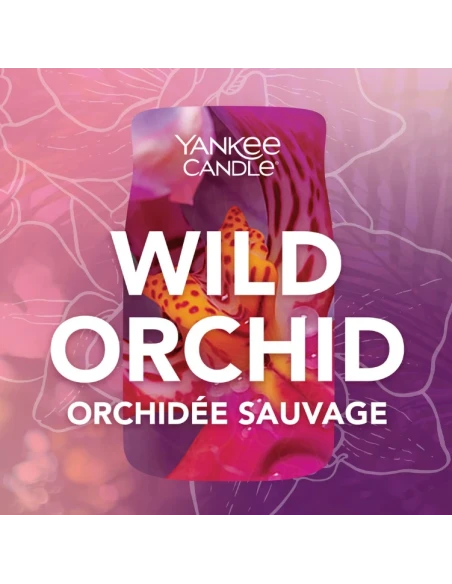 Yankee Candle - Wild Orchid - Glass Votive Candle