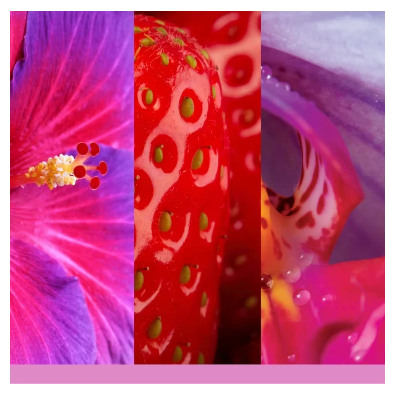 Yankee Candle - Wild Orchid - Cera da Fondere