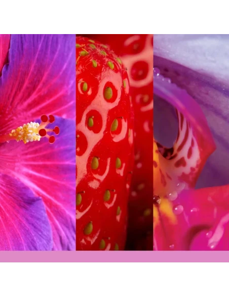 Yankee Candle - Wild Orchid - Cera da Fondere