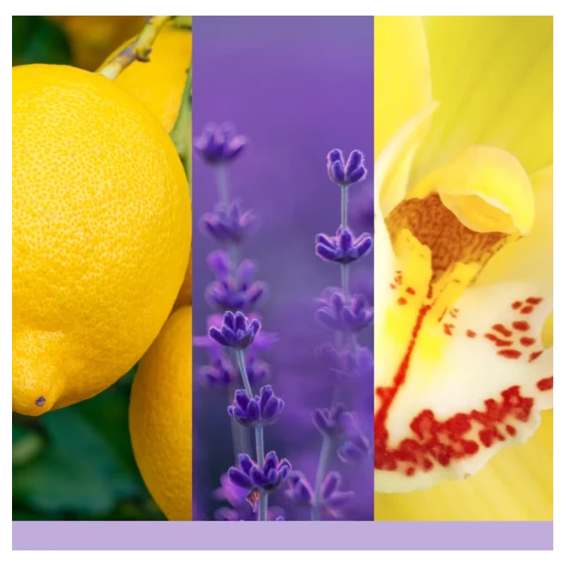 Yankee Candle - Ricarica Diffusore ad Ultrasuoni - Lemon Lavender