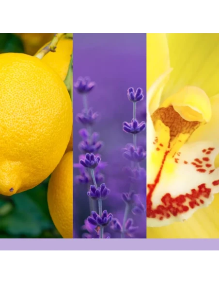 Yankee Candle - Ultrasonic  Diffuser Refill - Lemon Lavender