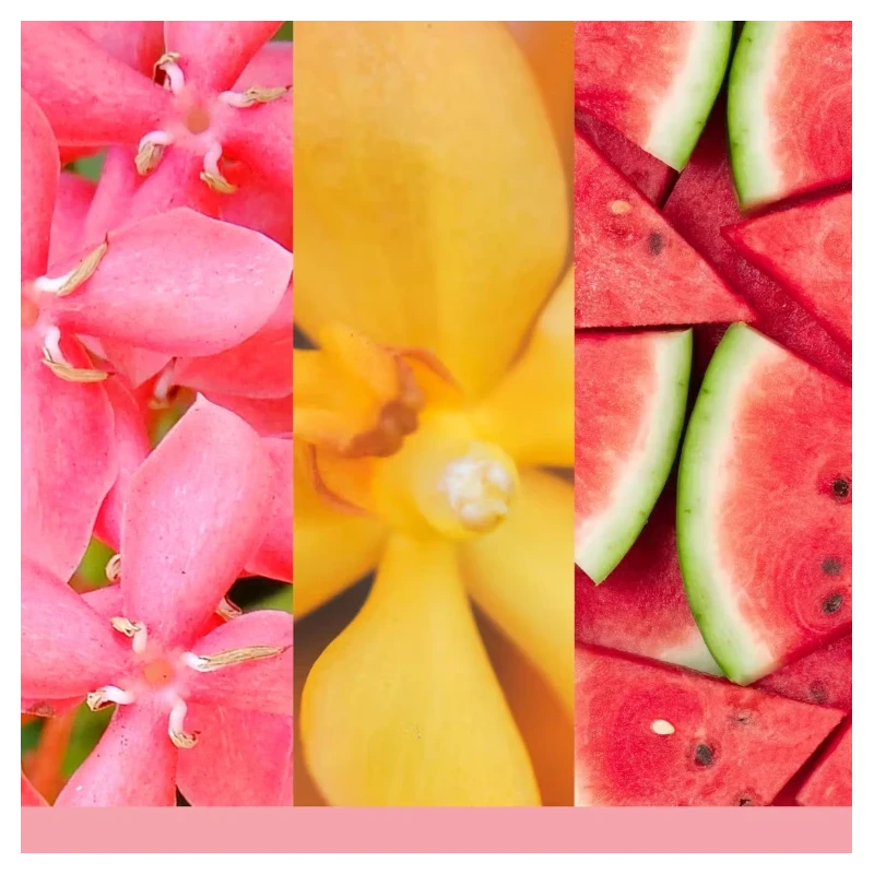 Yankee Candle - Ricarica Diffusore ad Ultrasuoni - Pink Sands