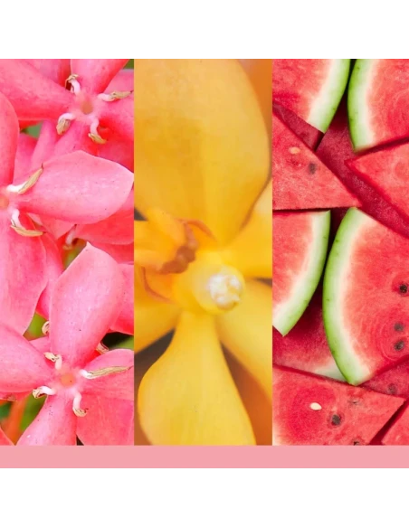 Yankee Candle - Ricarica Diffusore ad Ultrasuoni - Pink Sands