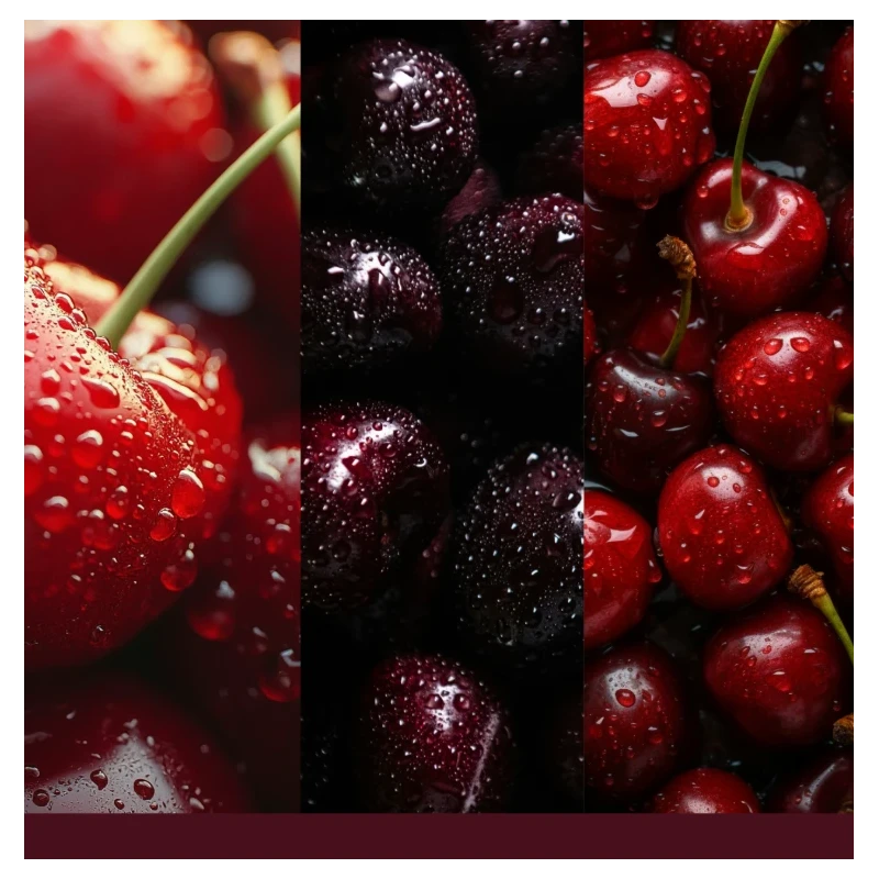 Yankee Candle - Kit Base Scentplug  Organic - Black Cherry