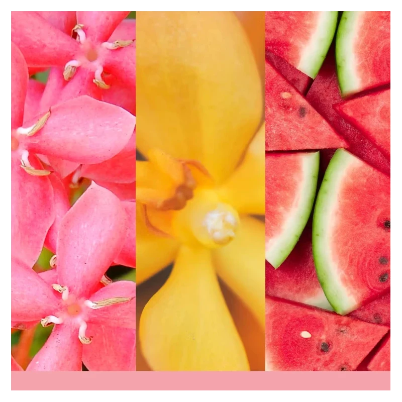 Yankee Candle - Kit Base Scentplug Organic - Pink Sands