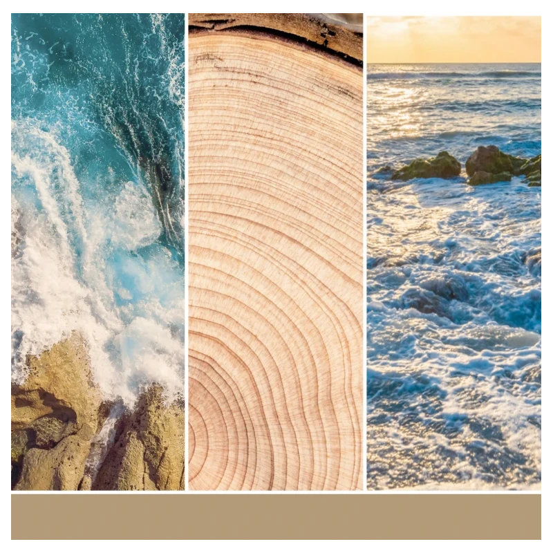 Yankee Candle - Scentplug Electric Diffuser Refill - Amber & Sandalwood