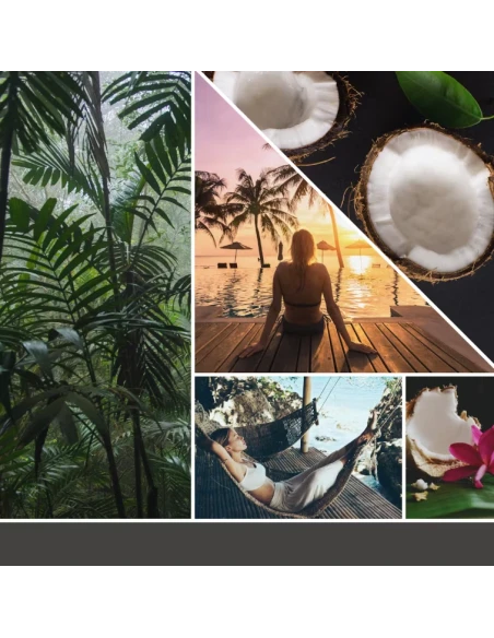 Yankee Candle - Ricarica per Diffusore Elettrico Scentplug - Black Coconut