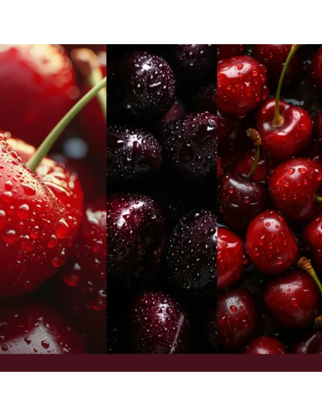 Yankee Candle - Ricarica per Diffusore Elettrico Scentplug - Black Cherry