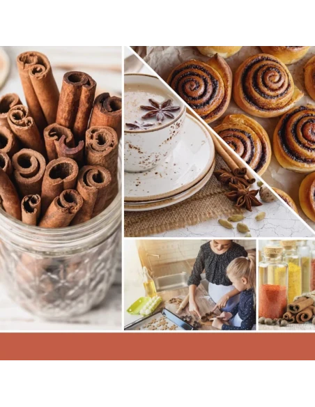 Yankee Candle - Ricarica per Diffusore Elettrico Scentplug - Cinnamon Stick