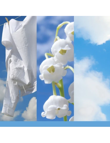 Yankee Candle - Scentplug Electric Diffuser Refill - Clean Cotton®